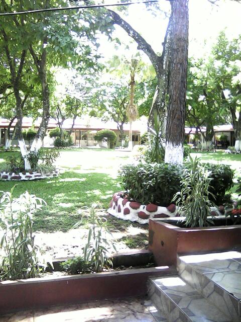 Imagen 85 Campus Universitario Dr. Octavio Méndez Pereira foto