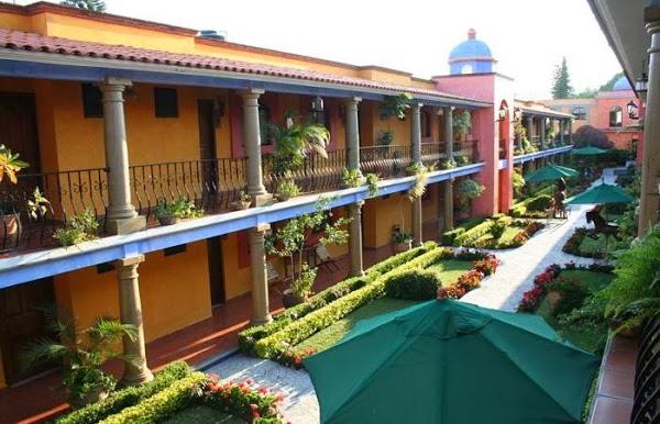 Imagen 2 Amigos de los Animales foto