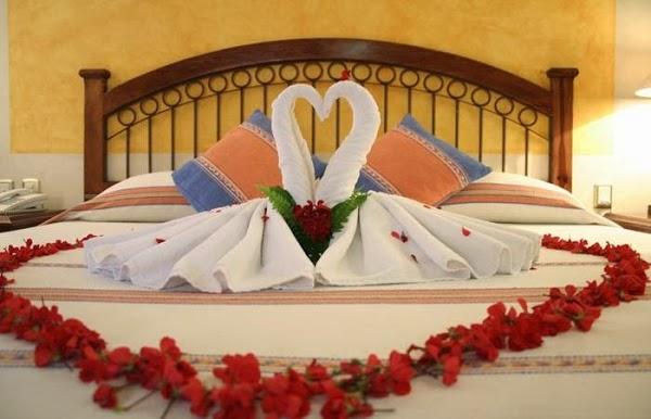 Imagen 3 Amigos de los Animales foto