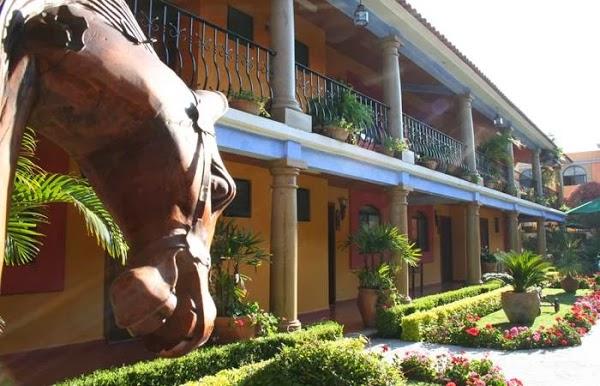 Imagen 4 Amigos de los Animales foto