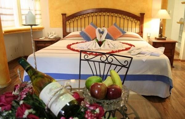 Imagen 5 Amigos de los Animales foto