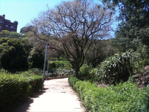 Imagen 3 Universidad Internacional Valenciana (VIU) foto