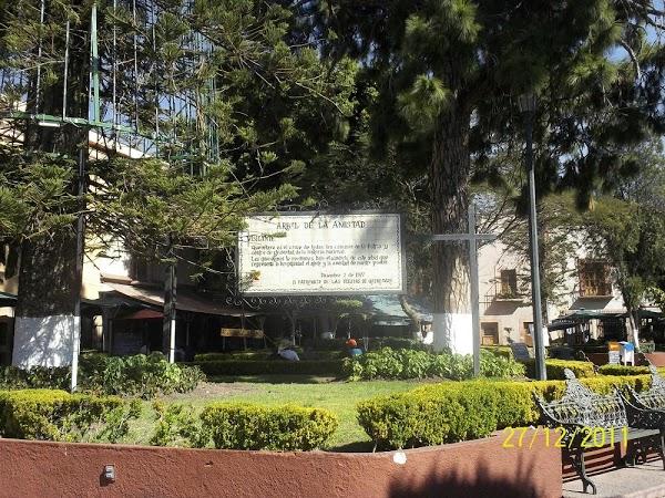 Imagen 18 Jardín Zenea foto