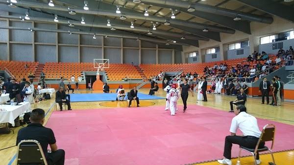 Imagen 29 Polideportivo Municipal Llefia foto