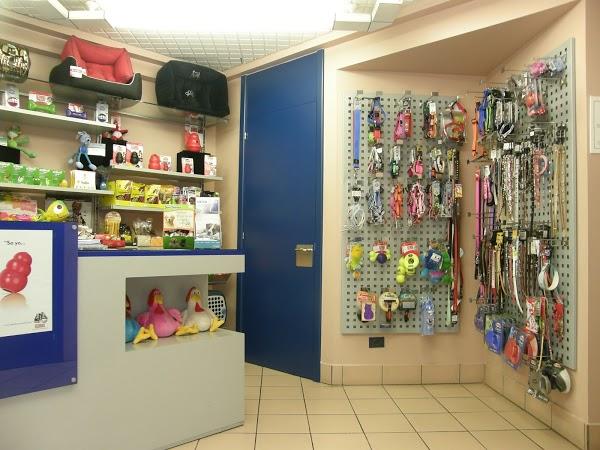 Imagen 11 Olas Altas Bed And Breakfast foto