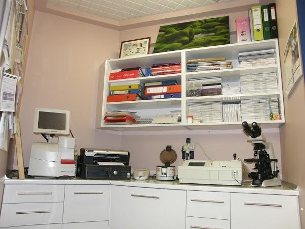 Imagen 15 Vela Blanca foto