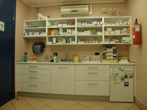 Imagen 16 Vela Blanca foto