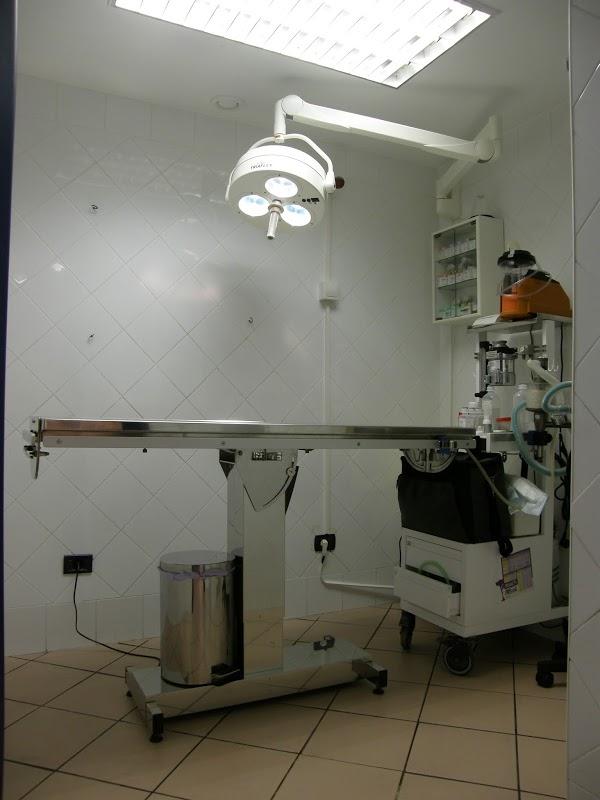 Imagen 17 Vela Blanca foto