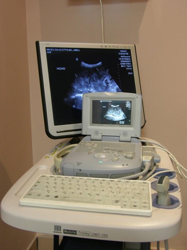 Imagen 18 Vela Blanca foto