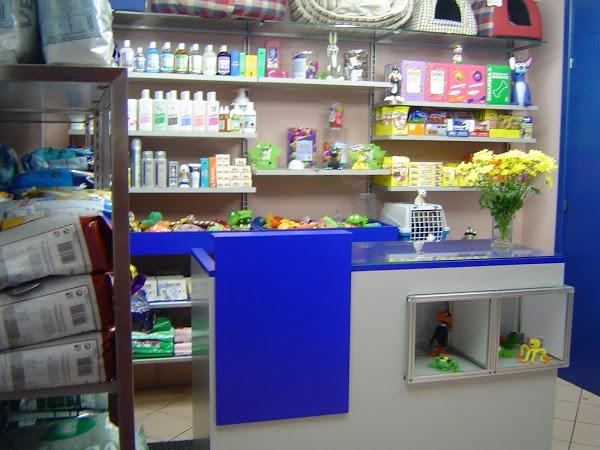 Imagen 19 Vela Blanca foto