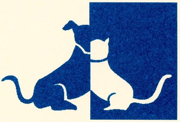 Imagen 20 Vela Blanca foto