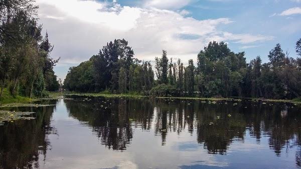 Imagen 22 Daclub foto