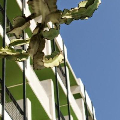 Imagen 1 INMOBILIARIA TRAPAGA foto