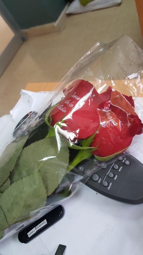 Imagen 121 Speaking Roses Panama, S.A. foto