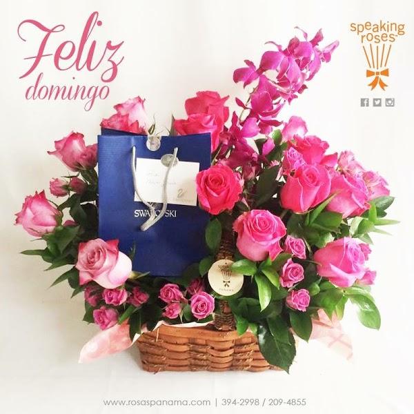 Imagen 250 Speaking Roses Panama, S.A. foto