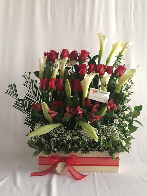 Imagen 256 Speaking Roses Panama, S.A. foto