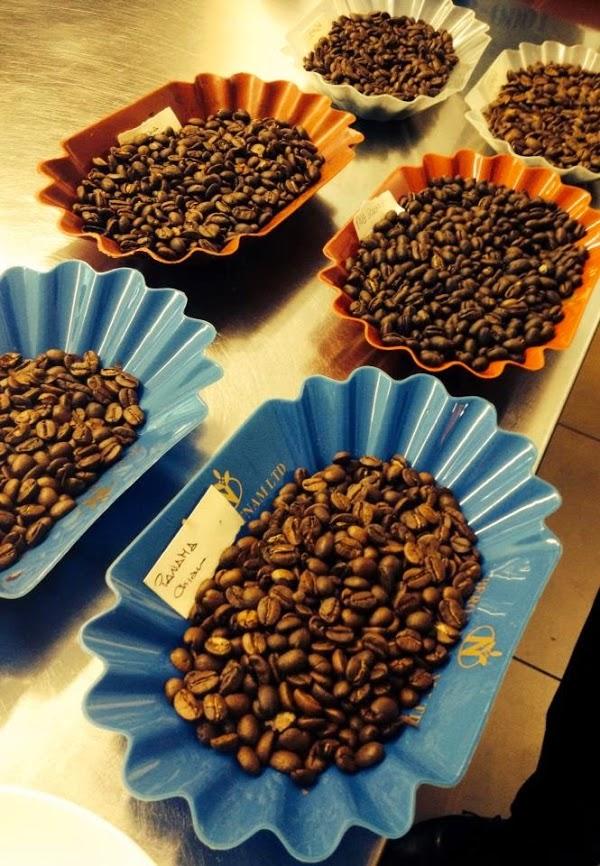 Imagen 49 Taller Mecánico José Domingo foto