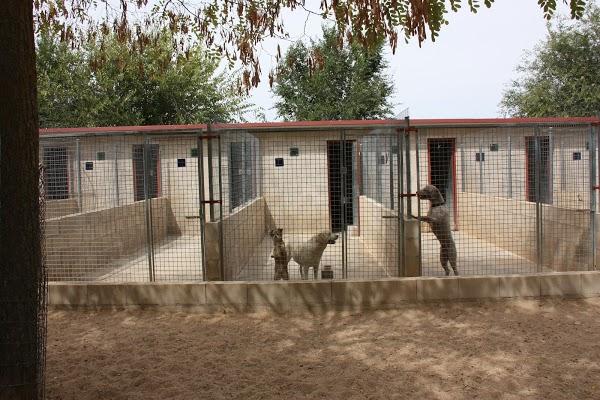 Imagen 23 mb-onepublicidad foto