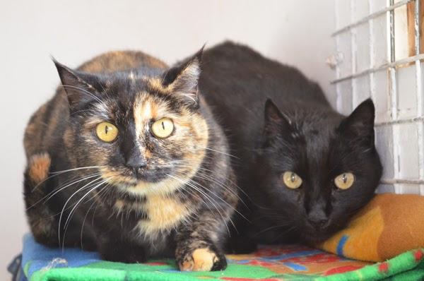 Imagen 25 mb-onepublicidad foto