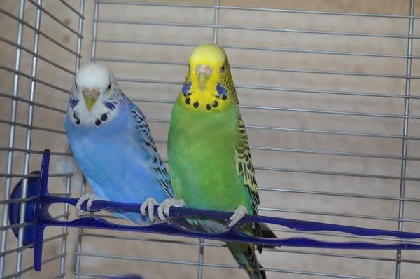 Imagen 26 mb-onepublicidad foto