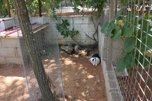 Imagen 27 mb-onepublicidad foto