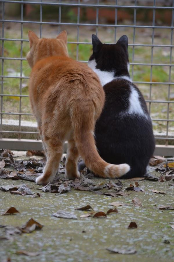 Imagen 28 mb-onepublicidad foto