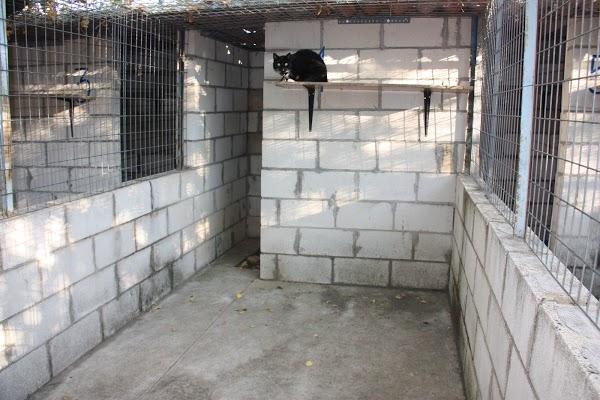 Imagen 30 mb-onepublicidad foto