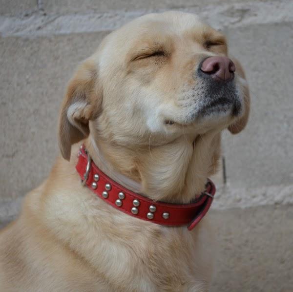 Imagen 31 mb-onepublicidad foto