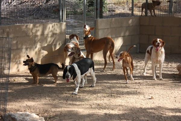 Imagen 34 mb-onepublicidad foto