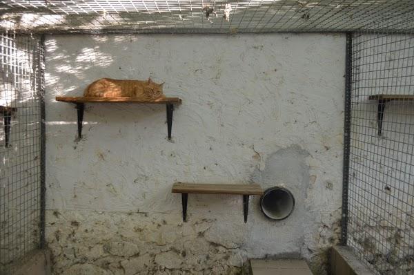 Imagen 10 East San Jose foto