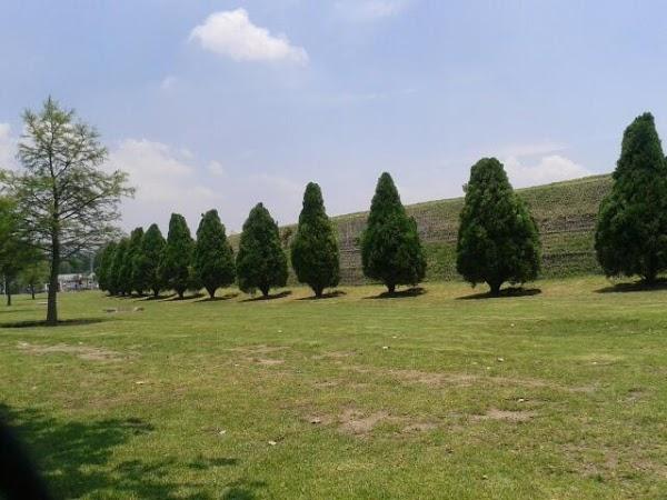 Imagen 84 Colmédicos S.A.S. foto