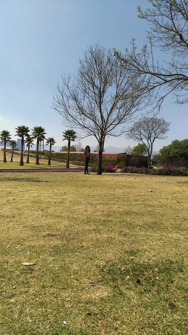 Imagen 92 Colmédicos S.A.S. foto