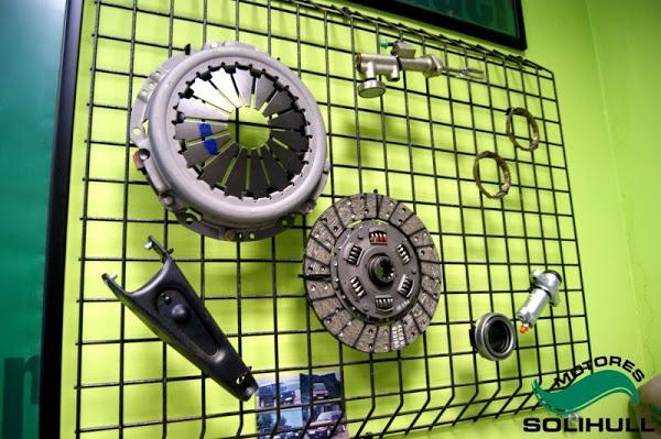 Imagen 22 Engel Axil foto