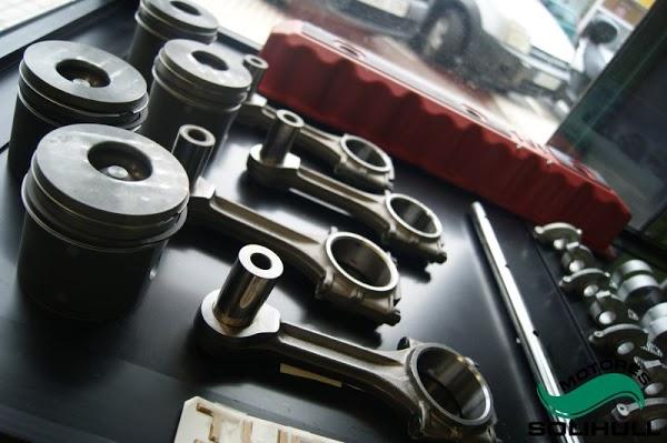 Imagen 23 Engel Axil foto