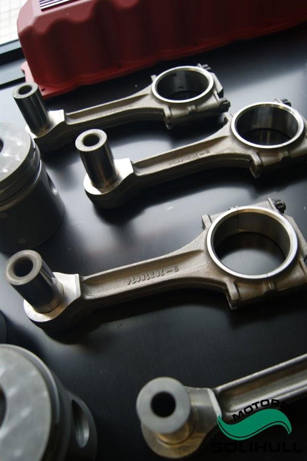 Imagen 27 Engel Axil foto