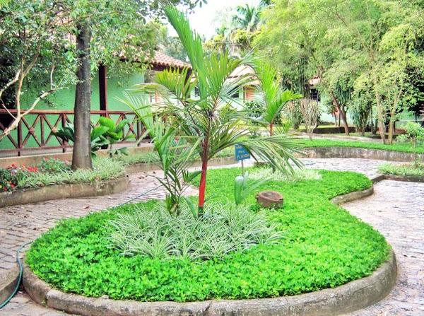 Imagen 16 Hotel Luis V foto