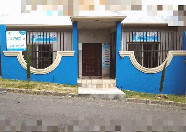 Imagen 21 JDF Auto Parts foto
