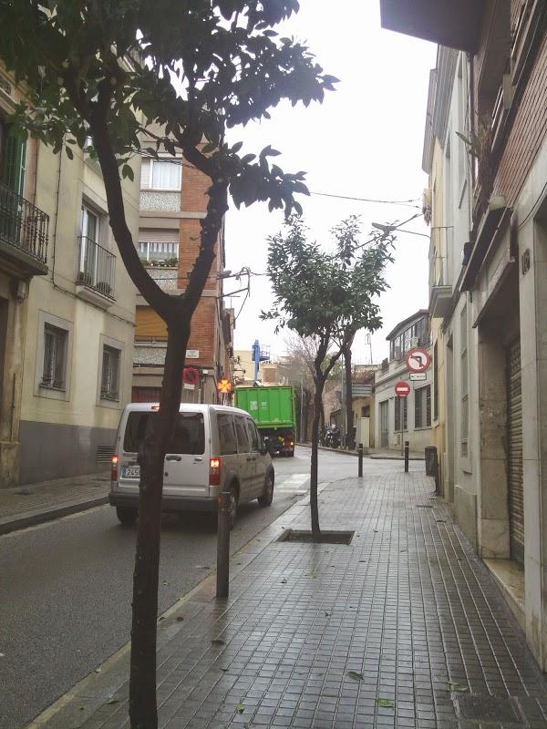 Imagen 17 Centro De Estudios Especilizados De Xalapa, S.C. foto