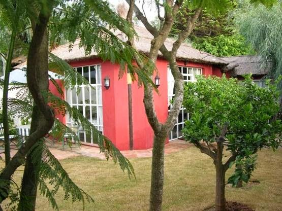 Imagen 9 Centro De Estudios Especilizados De Xalapa, S.C. foto