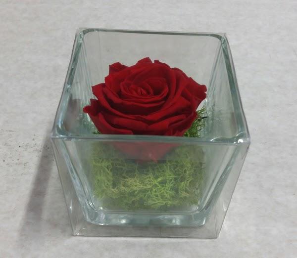 Imagen 23 H-E-B foto