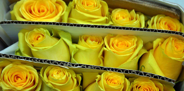 Imagen 25 H-E-B foto