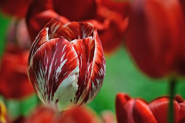 Imagen 27 H-E-B foto