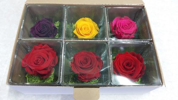 Imagen 28 H-E-B foto