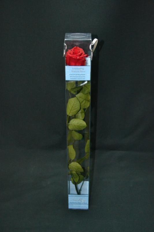 Imagen 29 H-E-B foto