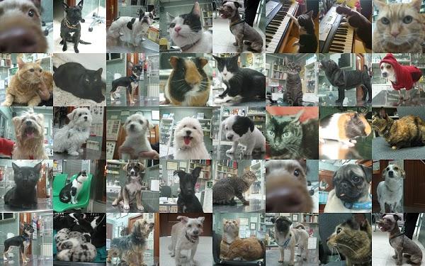 Imagen 37 PROCONSA Sucursal Casa Blanca foto