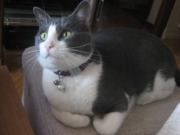 Imagen 39 PROCONSA Sucursal Casa Blanca foto