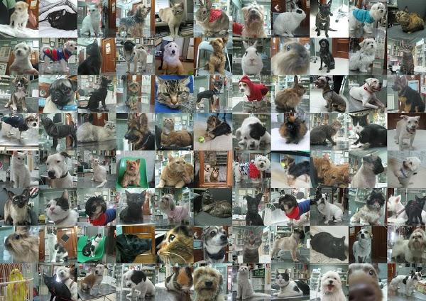 Imagen 40 PROCONSA Sucursal Casa Blanca foto