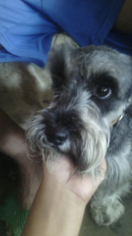 Imagen 47 PROCONSA Sucursal Casa Blanca foto