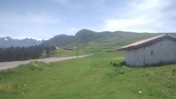 Imagen 3 Crisell foto