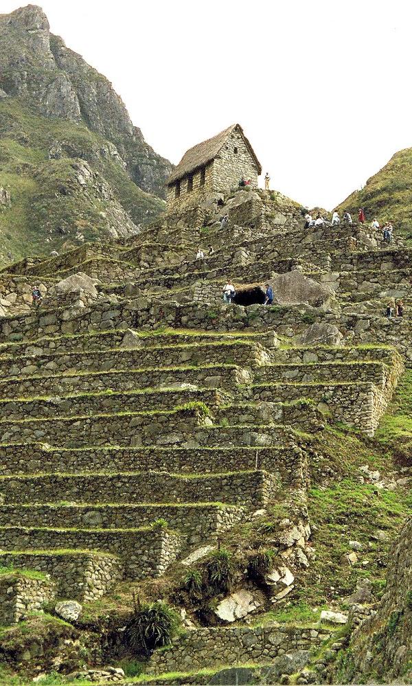 Imagen 35 Crisell foto